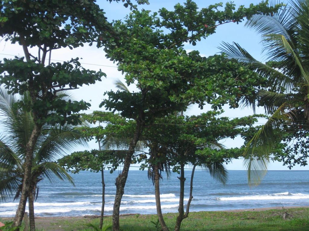Cabinas Miss Miriam 2 Tortuguero Exteriör bild