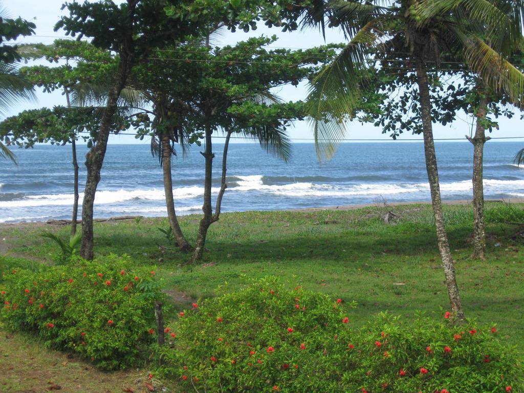 Cabinas Miss Miriam 2 Tortuguero Exteriör bild