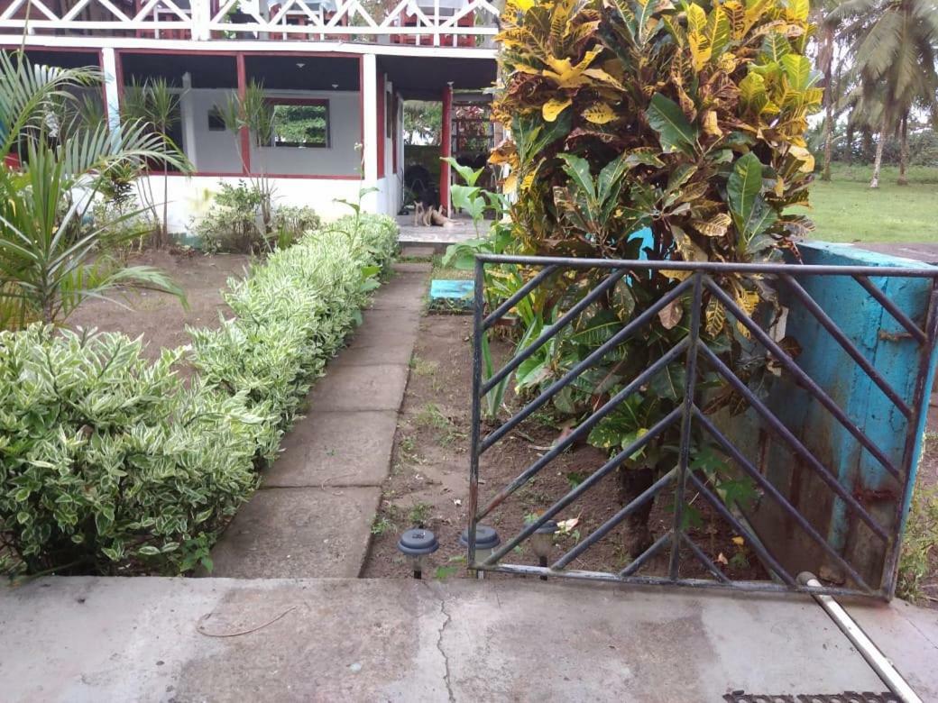 Cabinas Miss Miriam 2 Tortuguero Exteriör bild